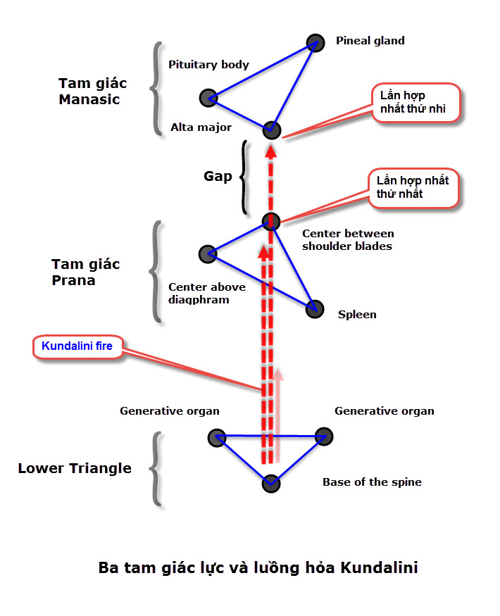 Second Blending _Vietnamese_2