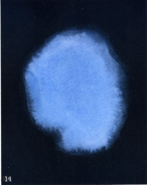 Lòng dâng hiến - sùng tín. Màu xanh blue là màu của cung 2