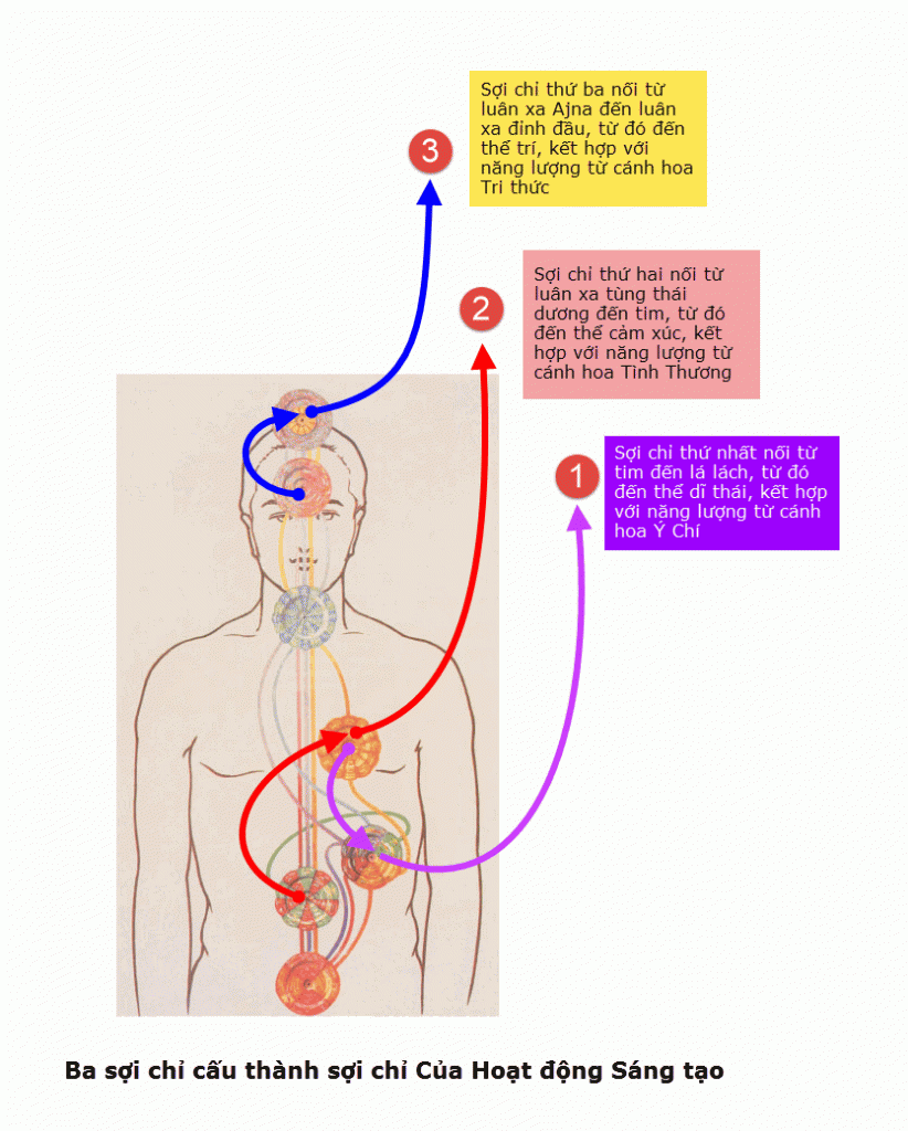 Soi chi Creative Activity