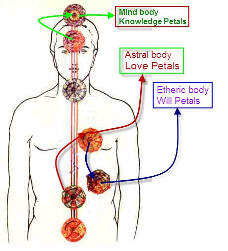 Sợi chỉ của hoạt động sáng tạo