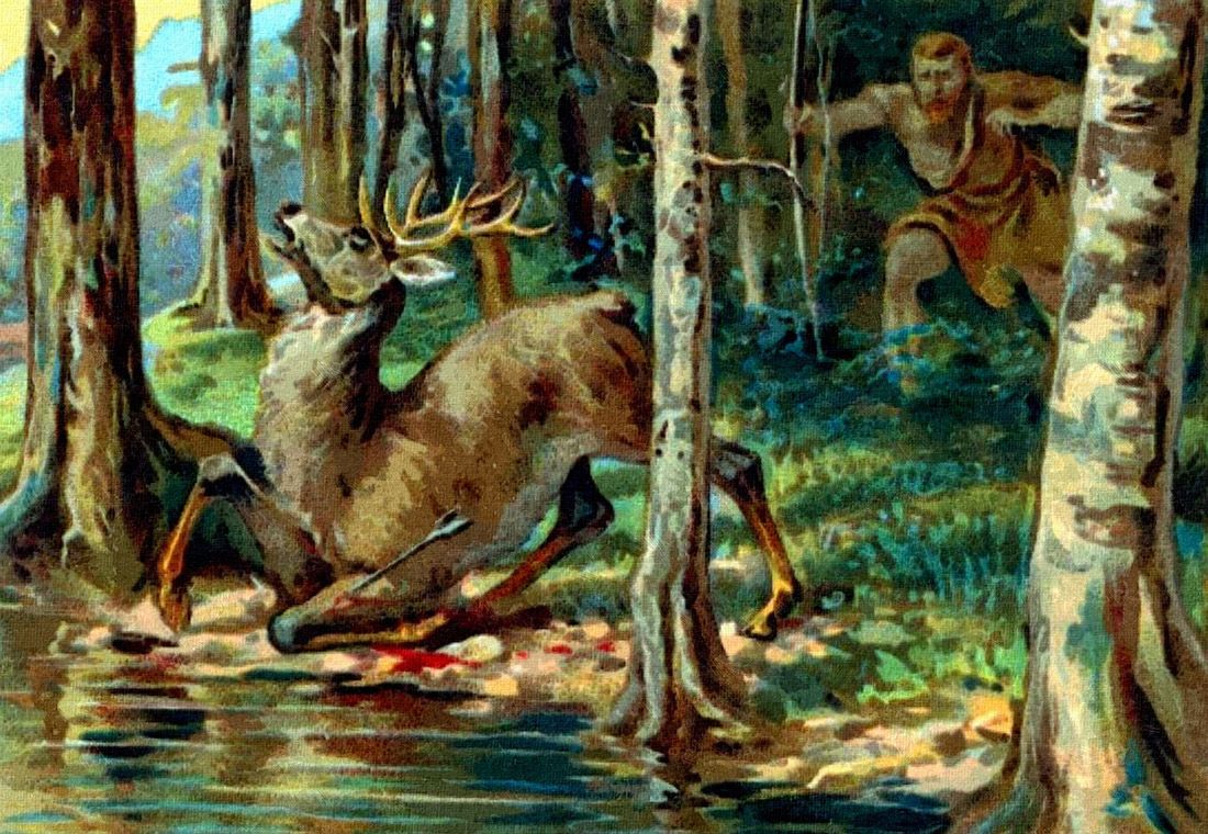 Săn con hươu cái