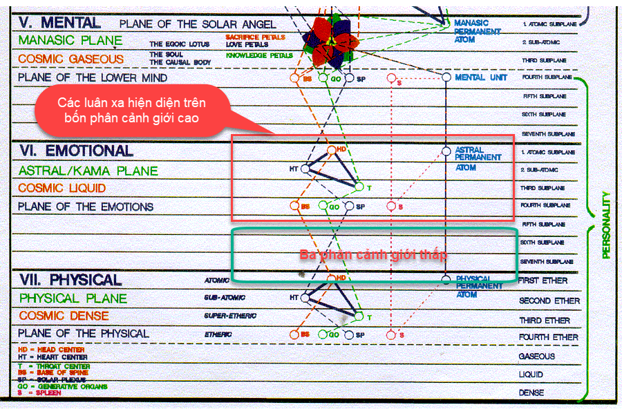 Chart
Description automatically generated