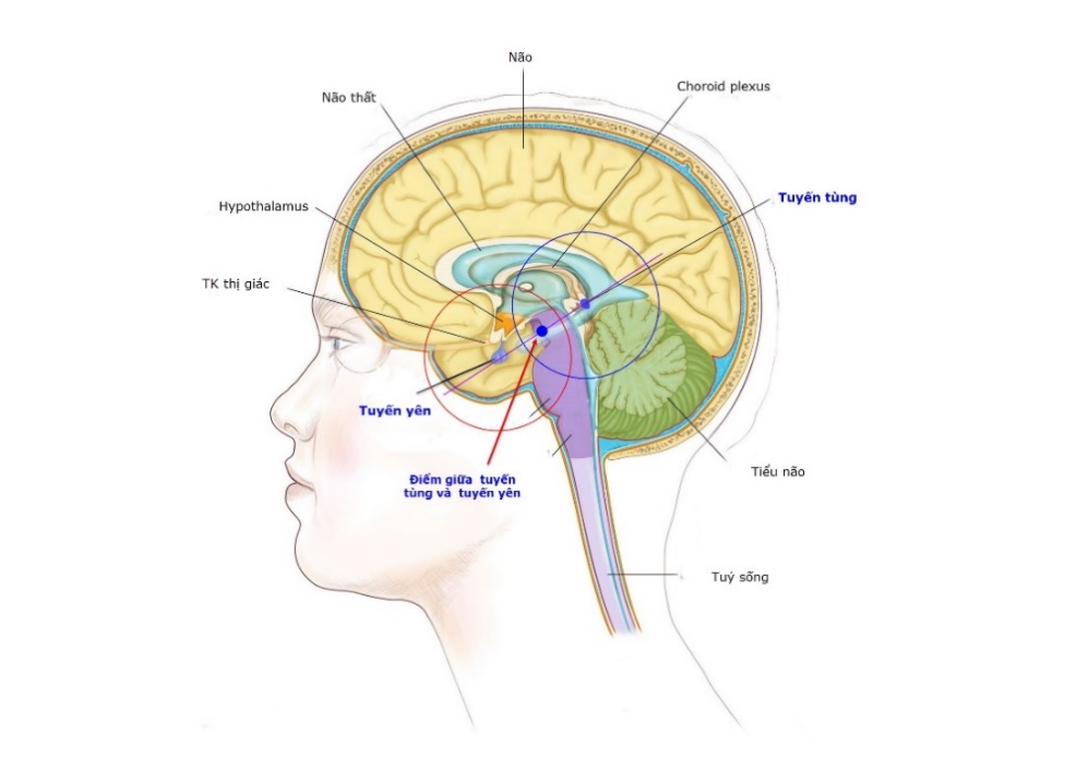 Visualisation-1.jpg (2320×1690)