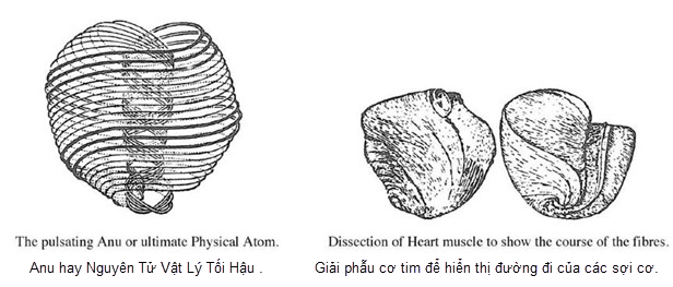 A black and white drawing of a spiral object
Description automatically generated