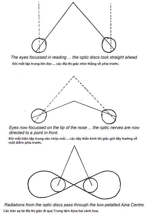 A diagram of a diagram of a triangle
Description automatically generated with medium confidence