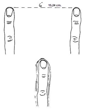 A drawing of a finger
Description automatically generated