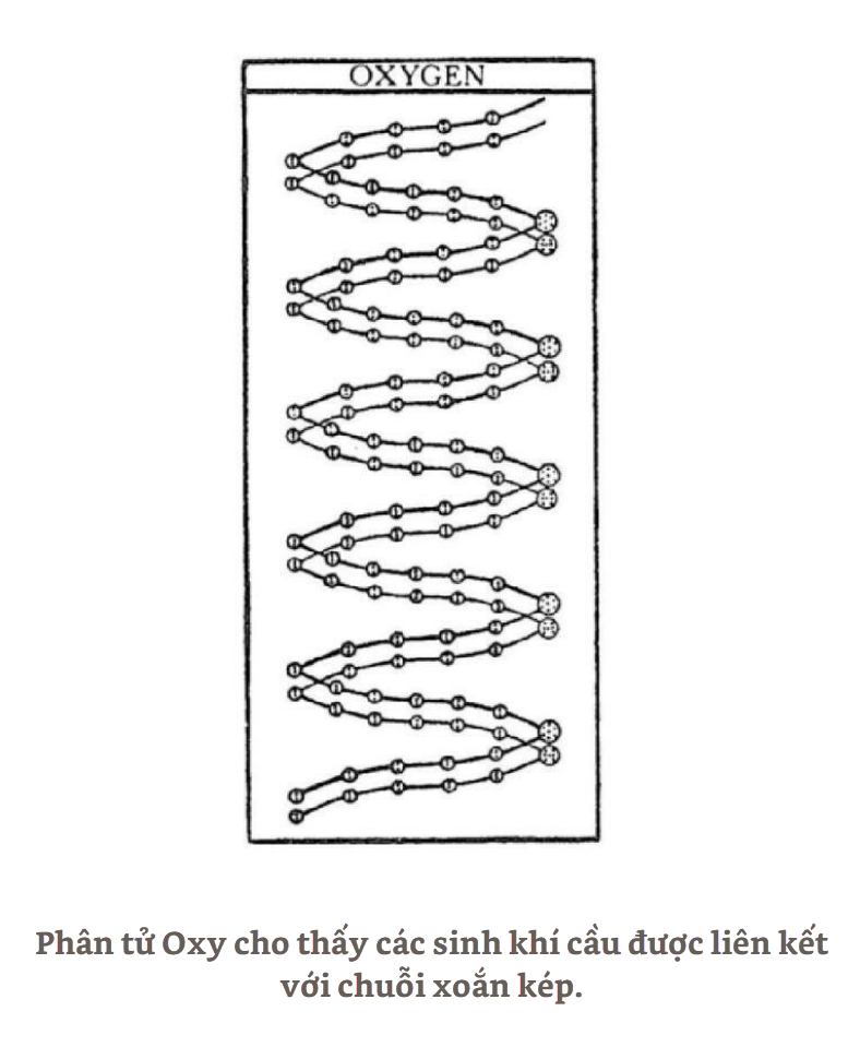 A black and white drawing of a spiral pattern

AI-generated content may be incorrect.