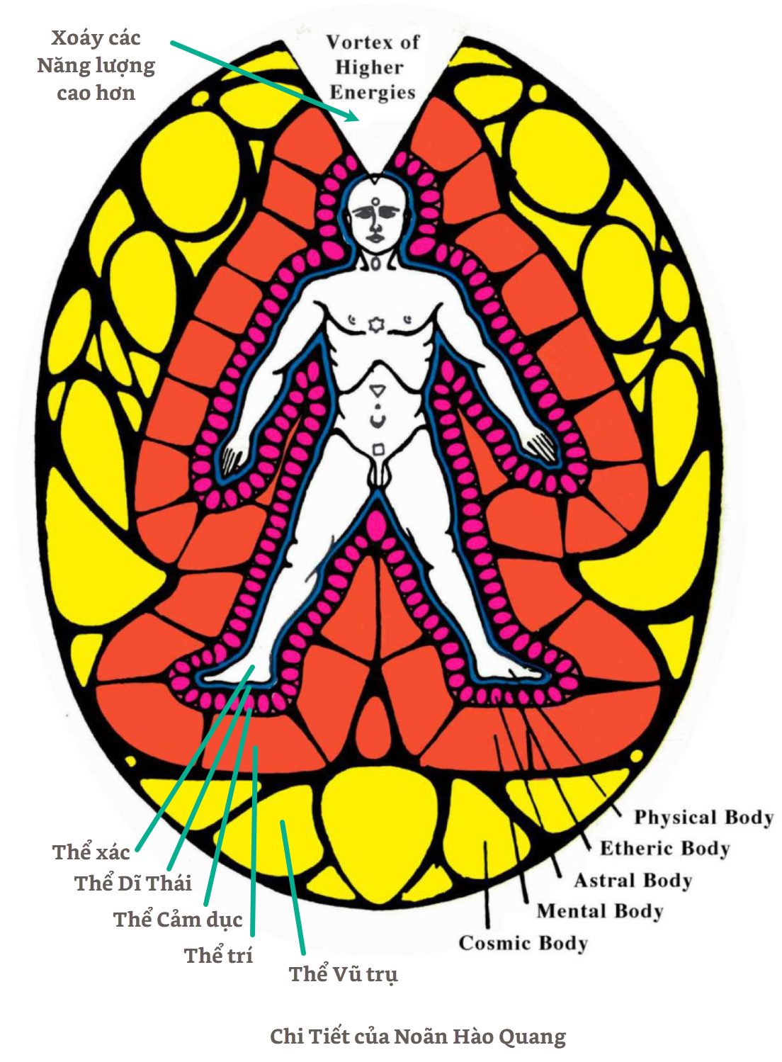 A drawing of a person with a diagram

AI-generated content may be incorrect.